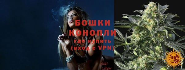 ешки Арсеньев