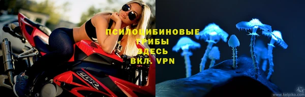 apvp Аркадак