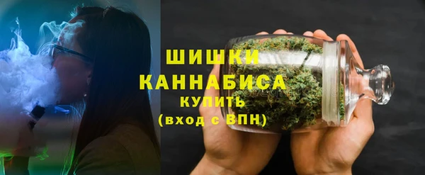 ешки Арсеньев