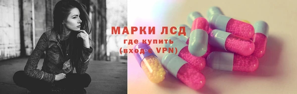 apvp Аркадак
