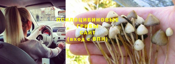 ешки Арсеньев
