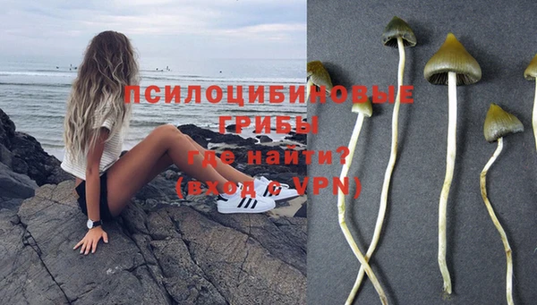 apvp Аркадак